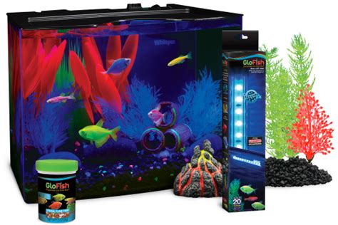 tetra fish|GloFish®. The most colorful pets for the most dazzling aquarium.
